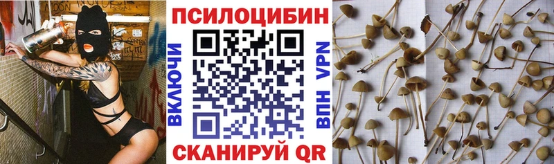 Галлюциногенные грибы Cubensis  Купить  Благодарный 